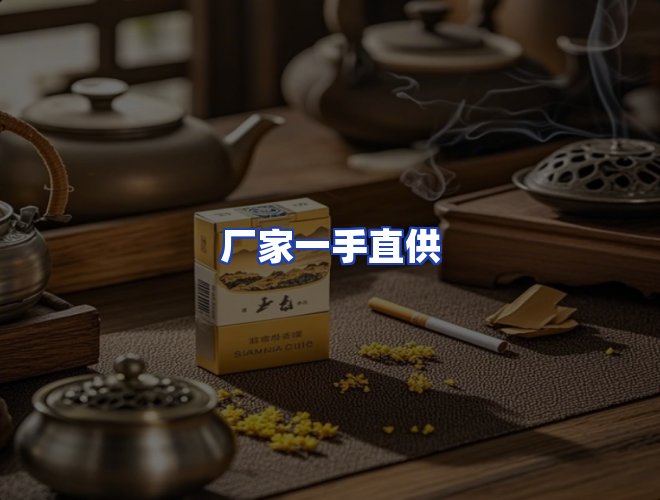 专业团队